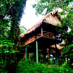 Jungle Lodge, Belize